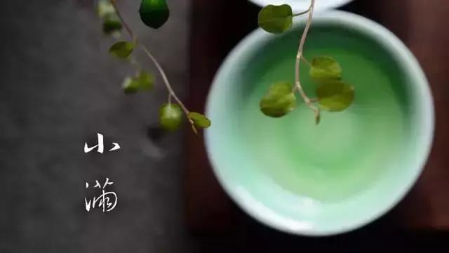 小滿小滿，麥粒漸滿